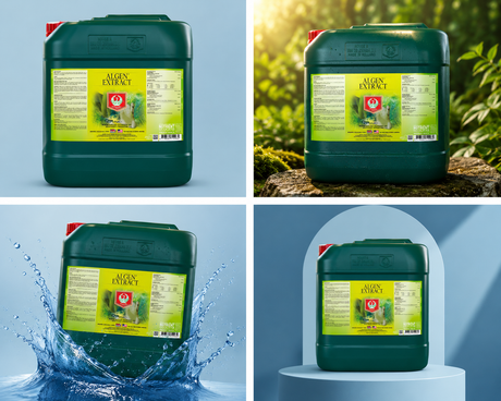 House and Garden Algen Extract 5 Liter