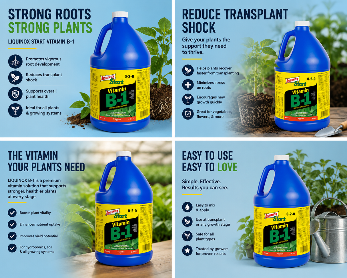 Liquinox Start B-1 Gallon (0-2-0)