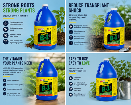 Liquinox Start B-1 Gallon (0-2-0)