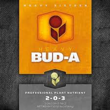 Heavy 16 Bud A 1 Gallon (2-0-3)