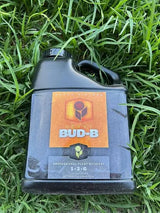 Heavy 16 Bud B 1 Gallon (1-3-6)