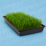 CASE 10" x 20" Black Slotted Prop Tray W/ Holes (100/cs)