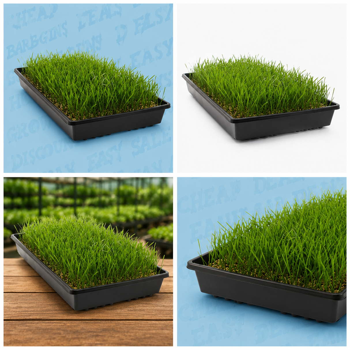 CASE 10" x 20" Black Slotted Prop Tray W/ Holes (100/cs)