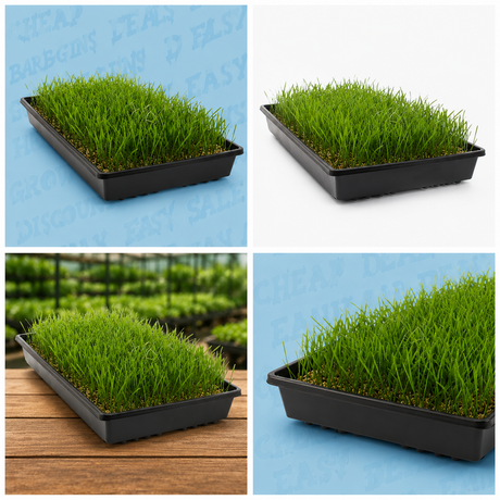 CASE 10" x 20" Black Slotted Prop Tray W/ Holes (100/cs)