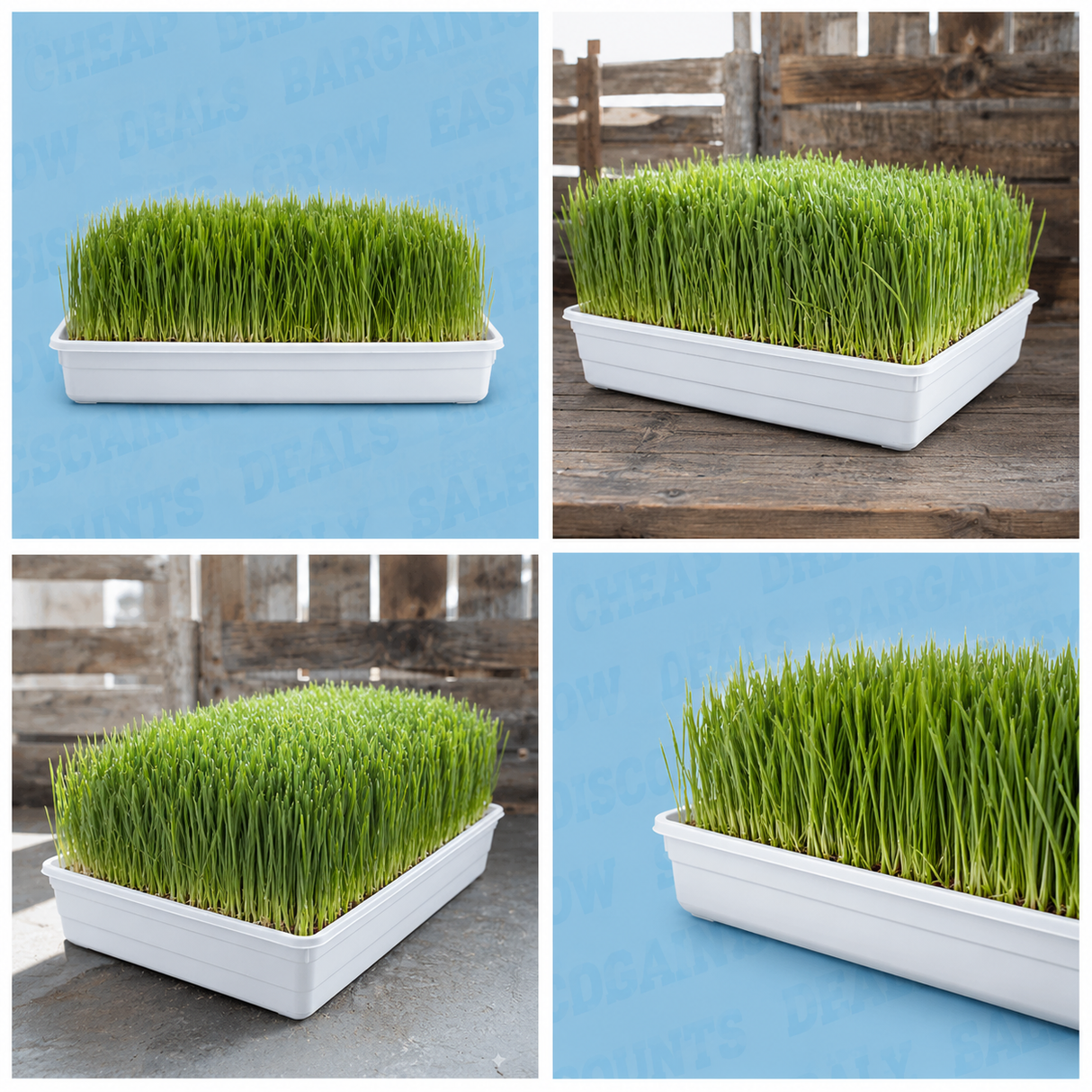 CASE 10" X 20" White Prop Tray - No Holes - Heavy Duty (100/case)