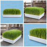 CASE 10" X 20" White Prop Tray - No Holes - Heavy Duty (100/case)