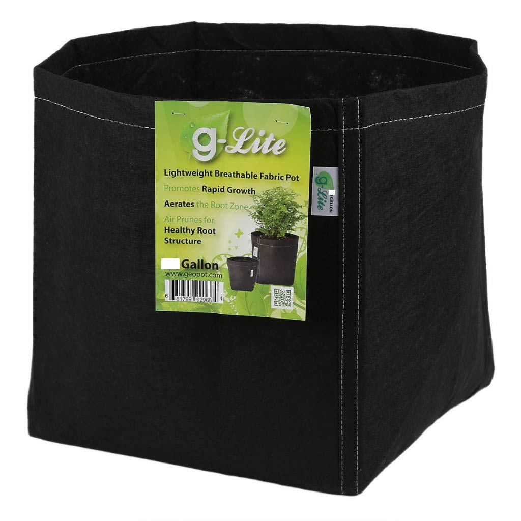 G Lite Geo Pot 2 Gallon fabric pot