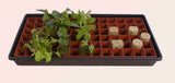 CASE of 5 Grodan Gro-Smart Terracotta Tray