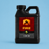Heavy 16 Fire Pint (1-10-16)