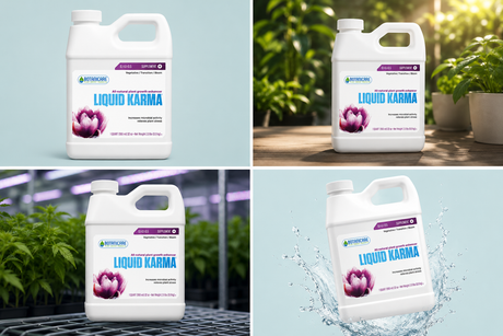 Liquid Karma Quart - Botanicare (0.1-0.1-0.5)