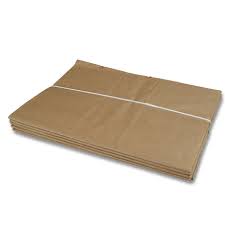 Lawn and Leaf Bag 5 PACK 30 Gal (Paper Bag)