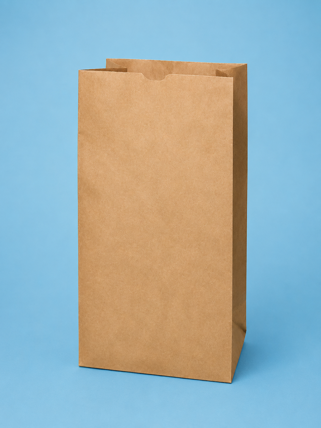Lawn and Leaf Bag 5 PACK 30 Gal (Paper Bag)