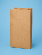 Lawn and Leaf Bag 5 PACK 30 Gal (Paper Bag)
