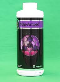 CES Mag Amped Quart