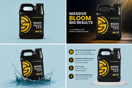 Green Planet Massive Bloom Stimulator 1 L (1-2-3)