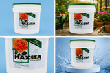 Maxsea Bloom (3-20-20) 20 lb