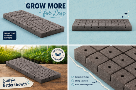 CASE Oasis Rootcube 1.5" #5015 50/Sheet 20 Sheets/CS (1000/CS)