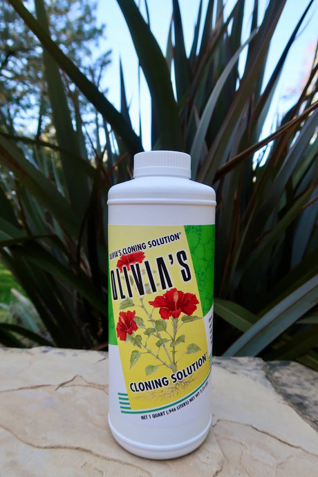 Olivia's Clone Solution Quart