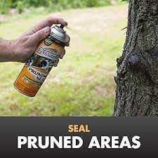 Spectracide Tree Seal  Aerosal (13oz.)