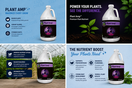 CES Plant Amp Gallon