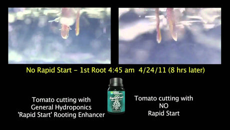 GH Rapid Start (1L)
