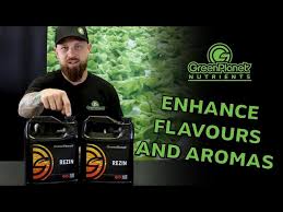 Green Planet Rezin Quart