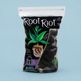 Root Riot Plugs 100 pack