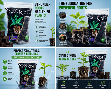 Root Riot Plugs 100 pack