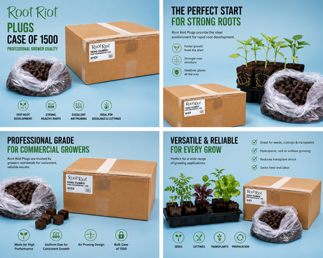 Root Riot Plugs Case of 1500