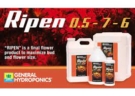 GH Ripen Gallon (0.5-7-6)