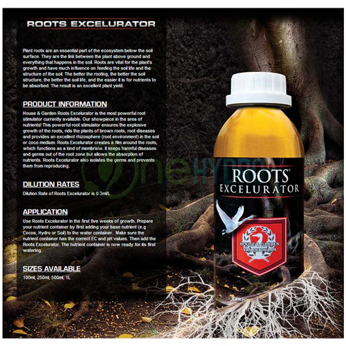 House and Garden Roots Excelurator GOLD 250 ML