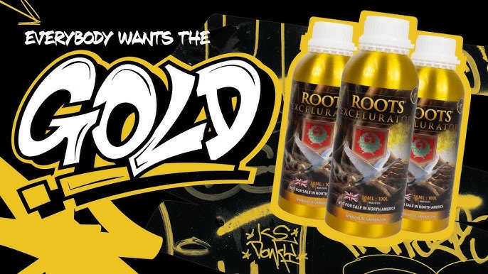 House and Garden Roots Excelurator GOLD 250 ML