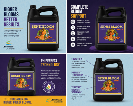 Advanced Nutrients Sensi Bloom B, 10L (2.5GL)