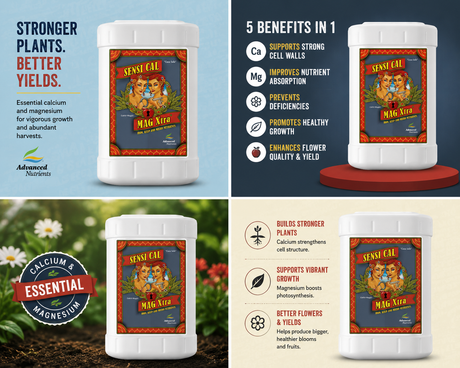 Advanced Nutrients Sensi Cal-Mag Xtra, 23L (6GL)