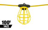 Southwire 100' String Light