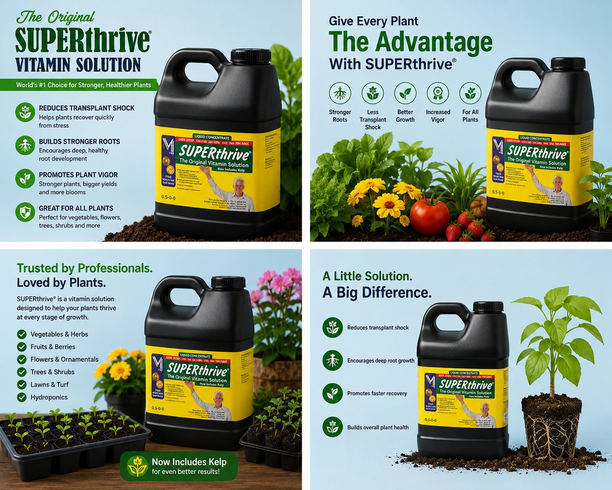 Superthrive Vitamin Solution 2.5gal (0.5-0-0)