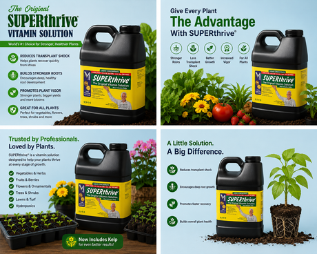 Superthrive Vitamin Solution 2.5gal (0.5-0-0)