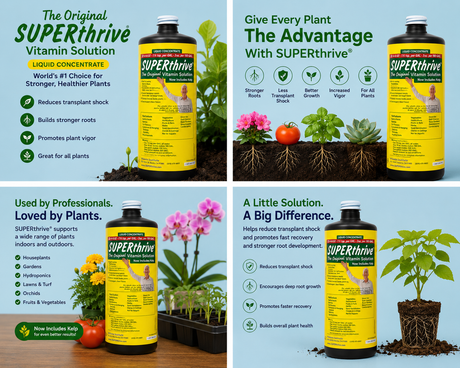Superthrive (Quart)  (0.5-0-0)