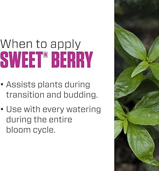 Sweet Berry Quart - Botanicare