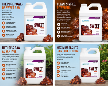 Sweet Raw Gallon - Botanicare