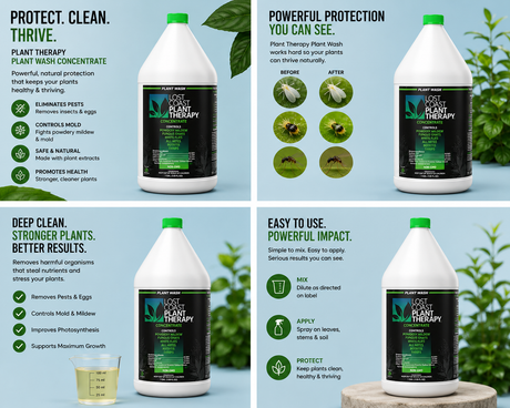 Plant Therapy Gallon By Lost Coast