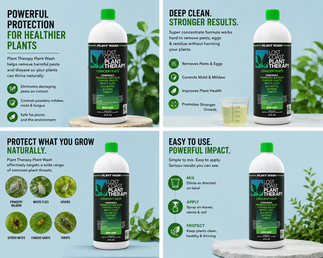 Plant Therapy 32oz. By Lost Coast